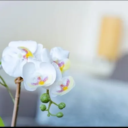 Lägenhet La Terrasse - Proche Gare Et Centre - *